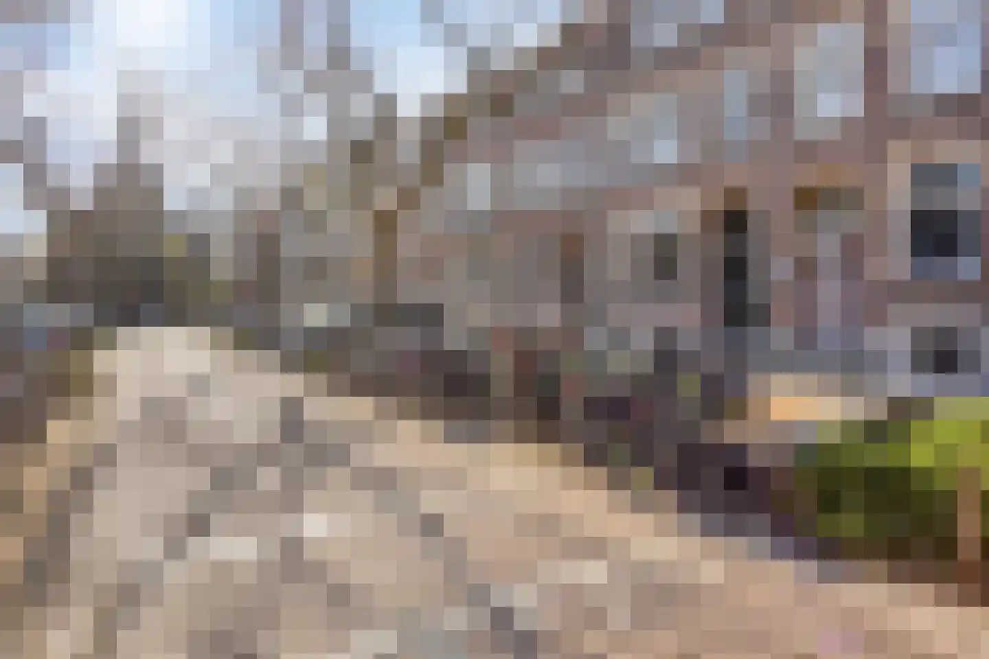 Blommersdijkselaan 30 D Rotterdam thumbnail 16