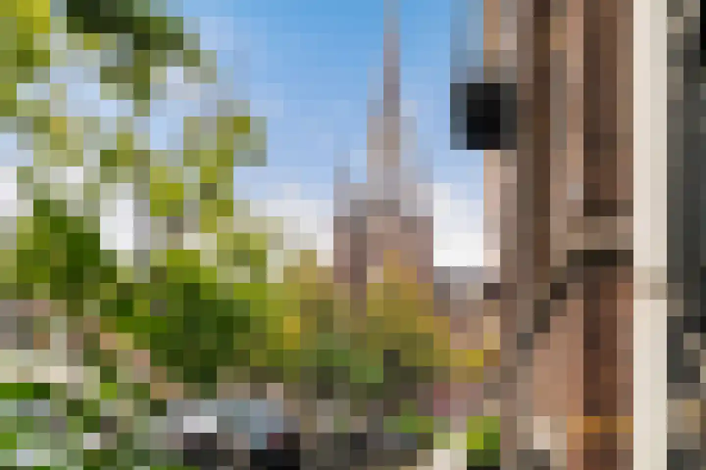 Blommersdijkselaan 33 B Rotterdam thumbnail 12