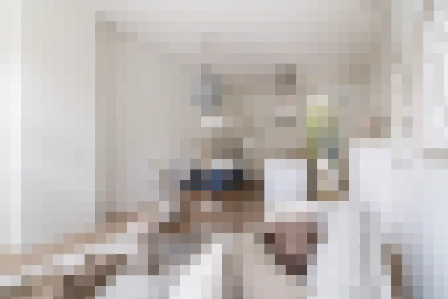 Blommersdijkselaan 33 B Rotterdam thumbnail 15
