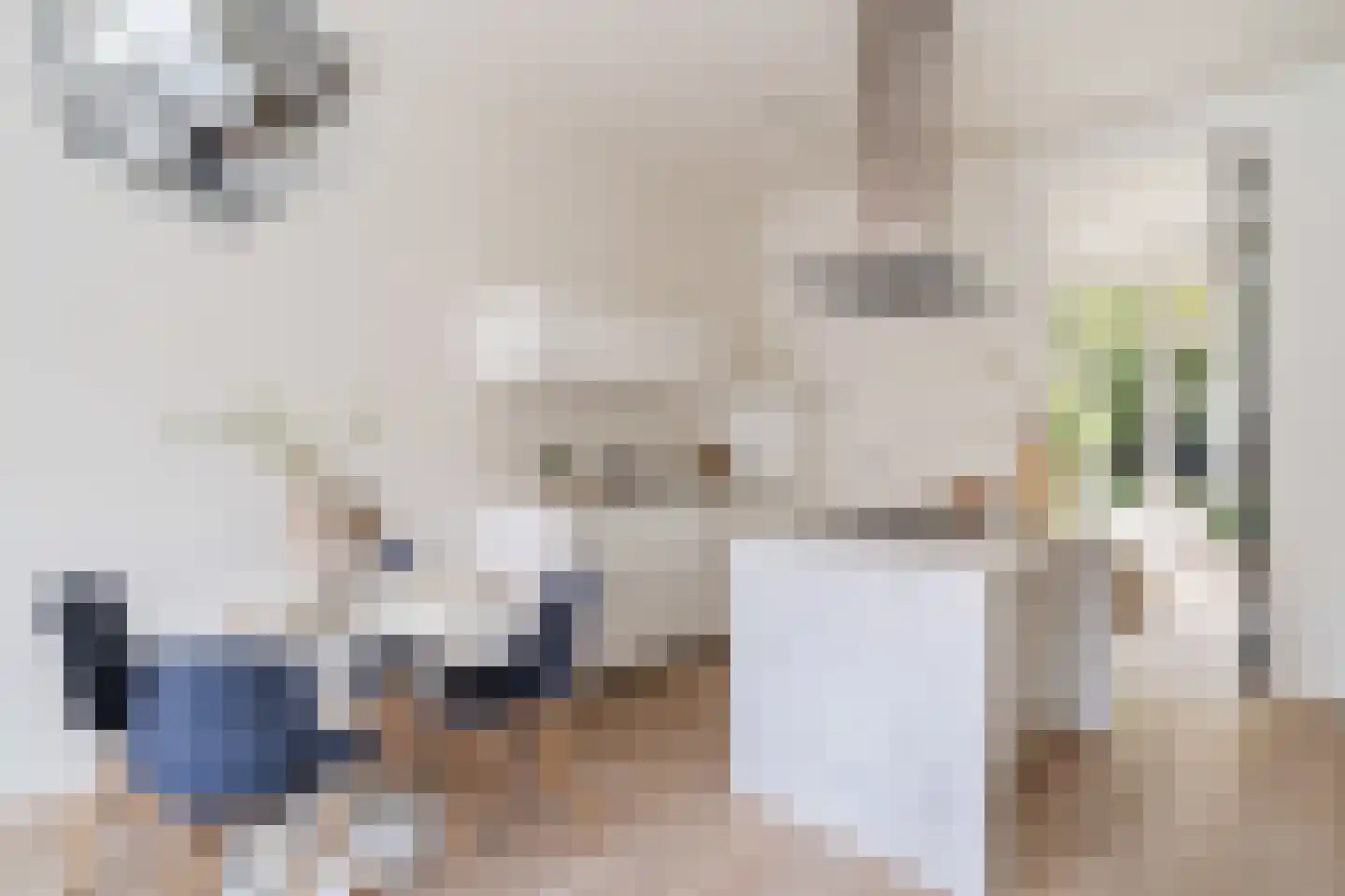 Blommersdijkselaan 33 B Rotterdam thumbnail 17