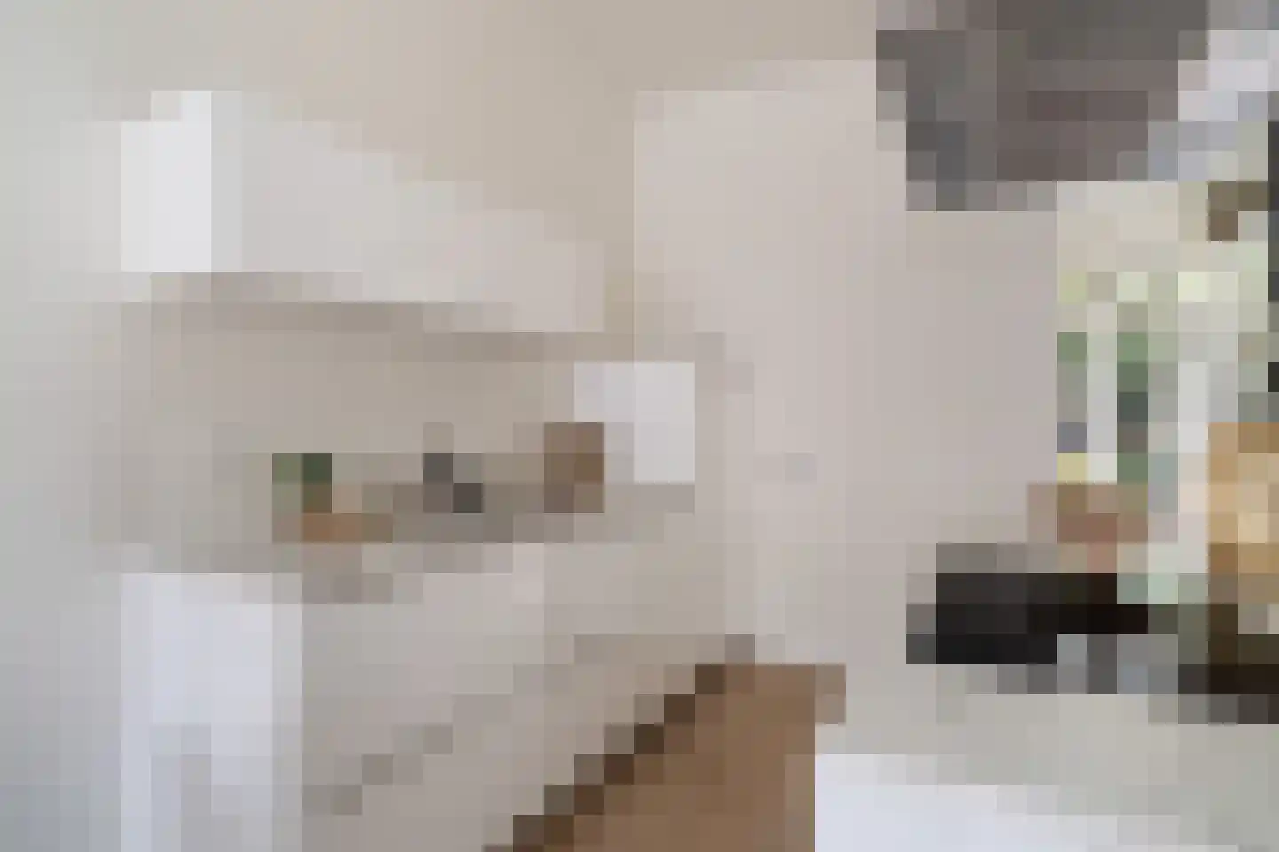 Blommersdijkselaan 33 B Rotterdam thumbnail 18