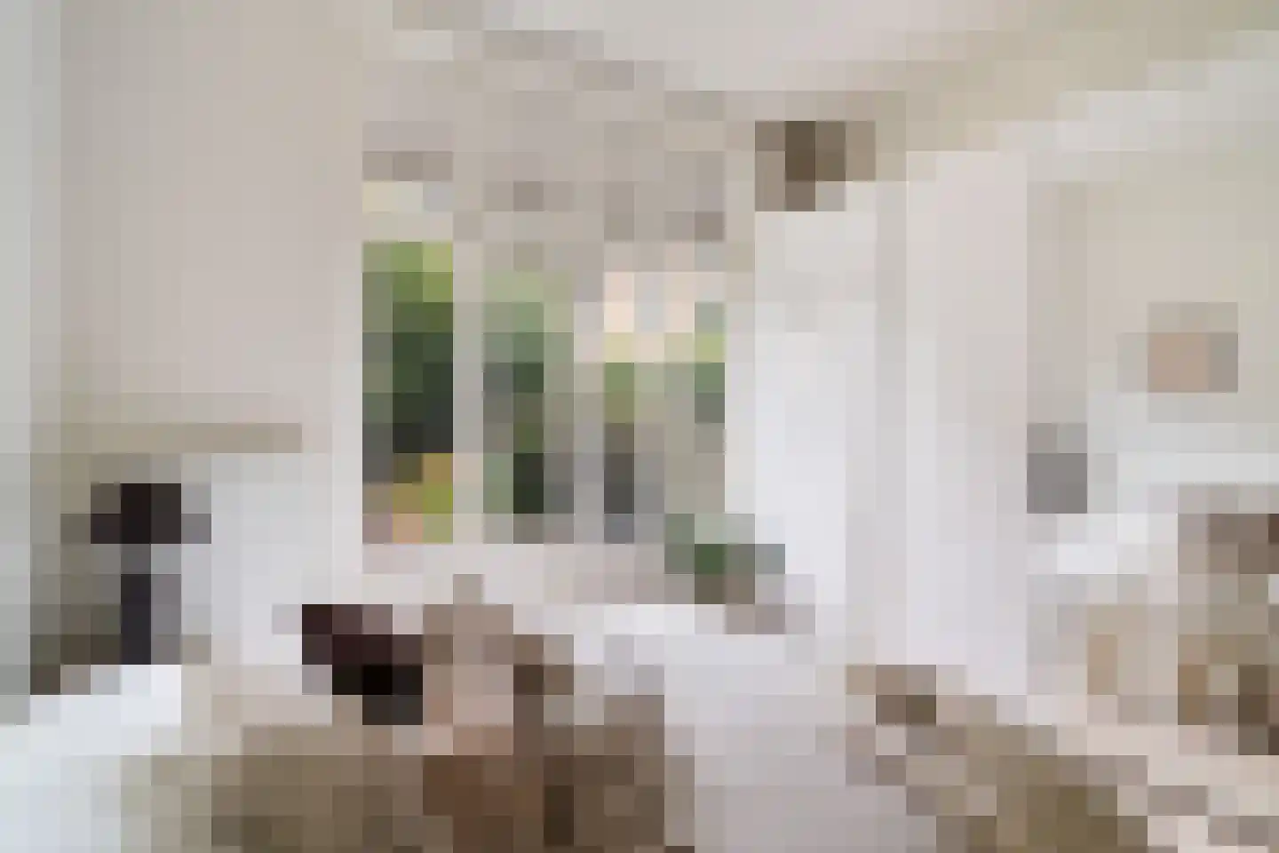 Blommersdijkselaan 33 B Rotterdam thumbnail 19