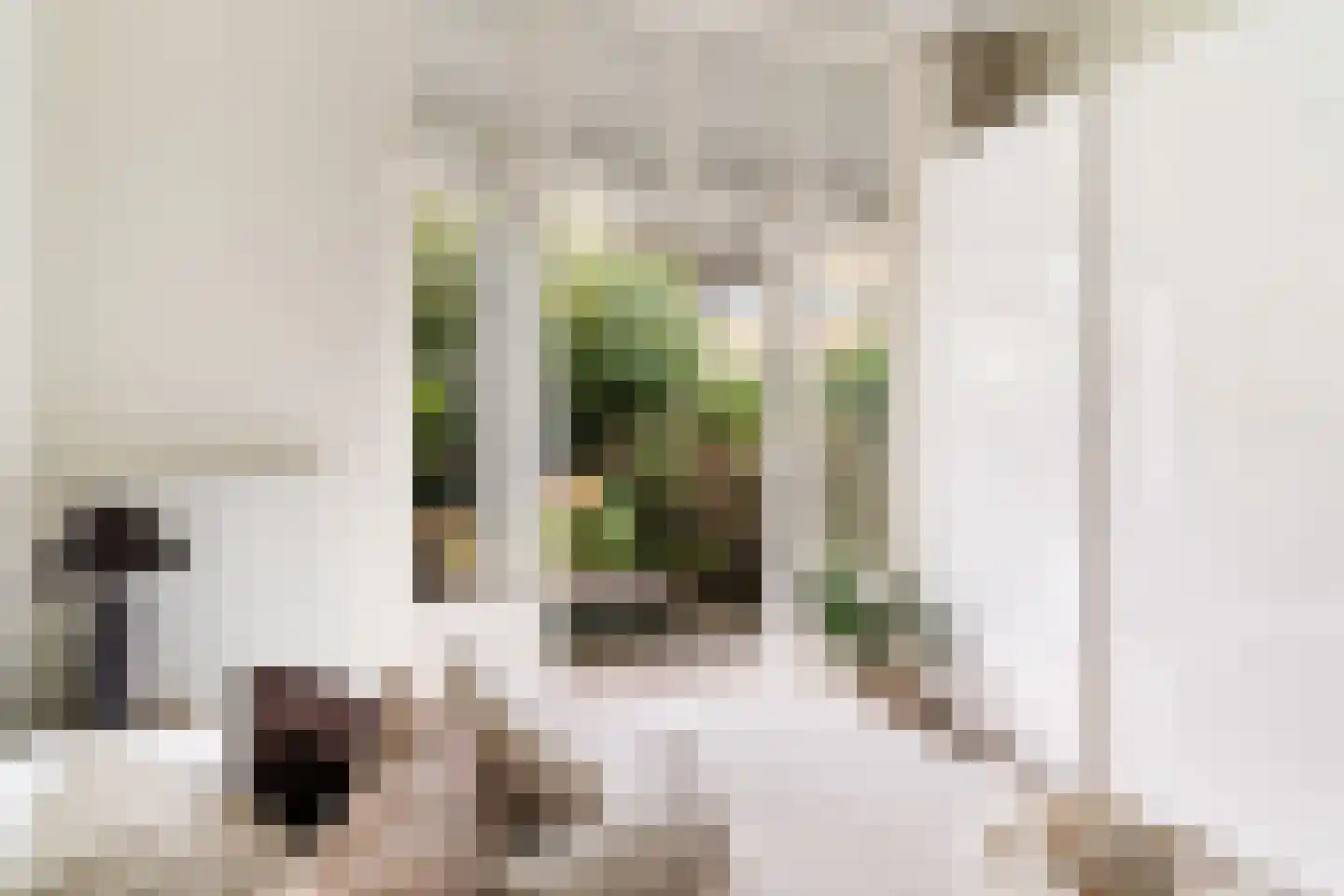 Blommersdijkselaan 33 B Rotterdam thumbnail 20