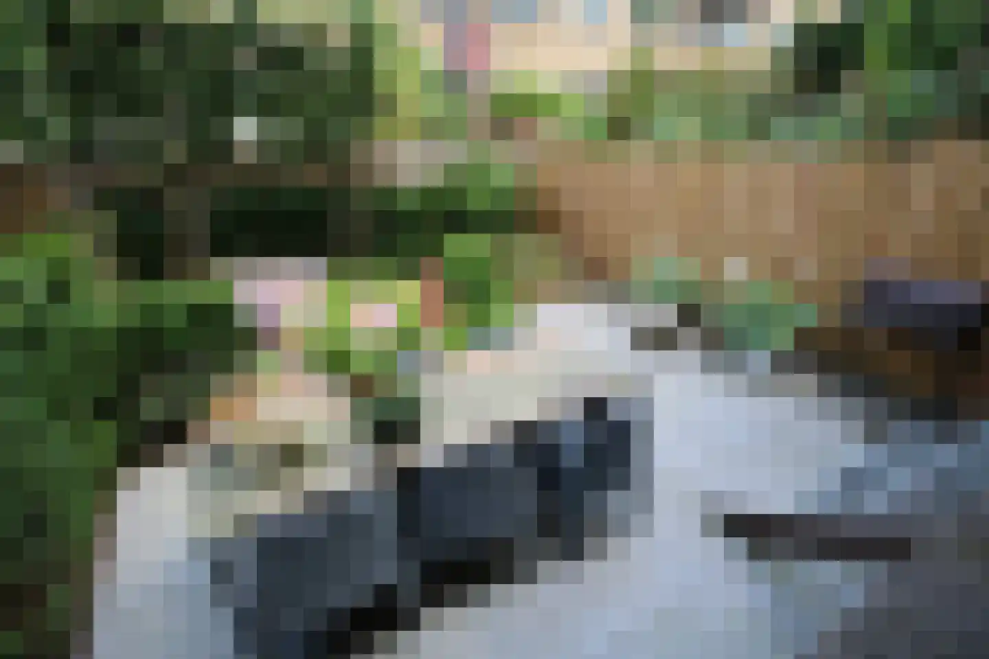 Blommersdijkselaan 33 B Rotterdam thumbnail 21