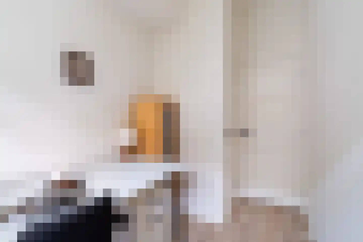 Blommersdijkselaan 33 B Rotterdam thumbnail 24
