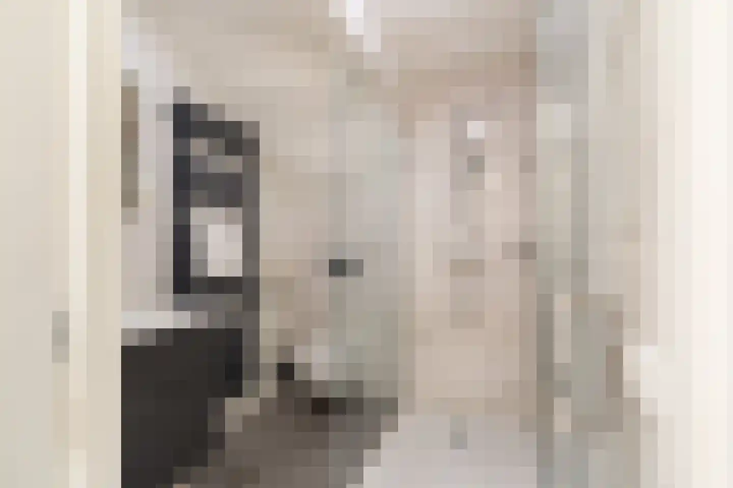 Blommersdijkselaan 33 B Rotterdam thumbnail 25