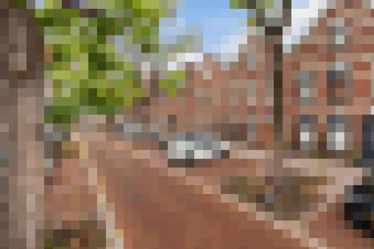 Blommersdijkselaan 33 B Rotterdam thumbnail 27