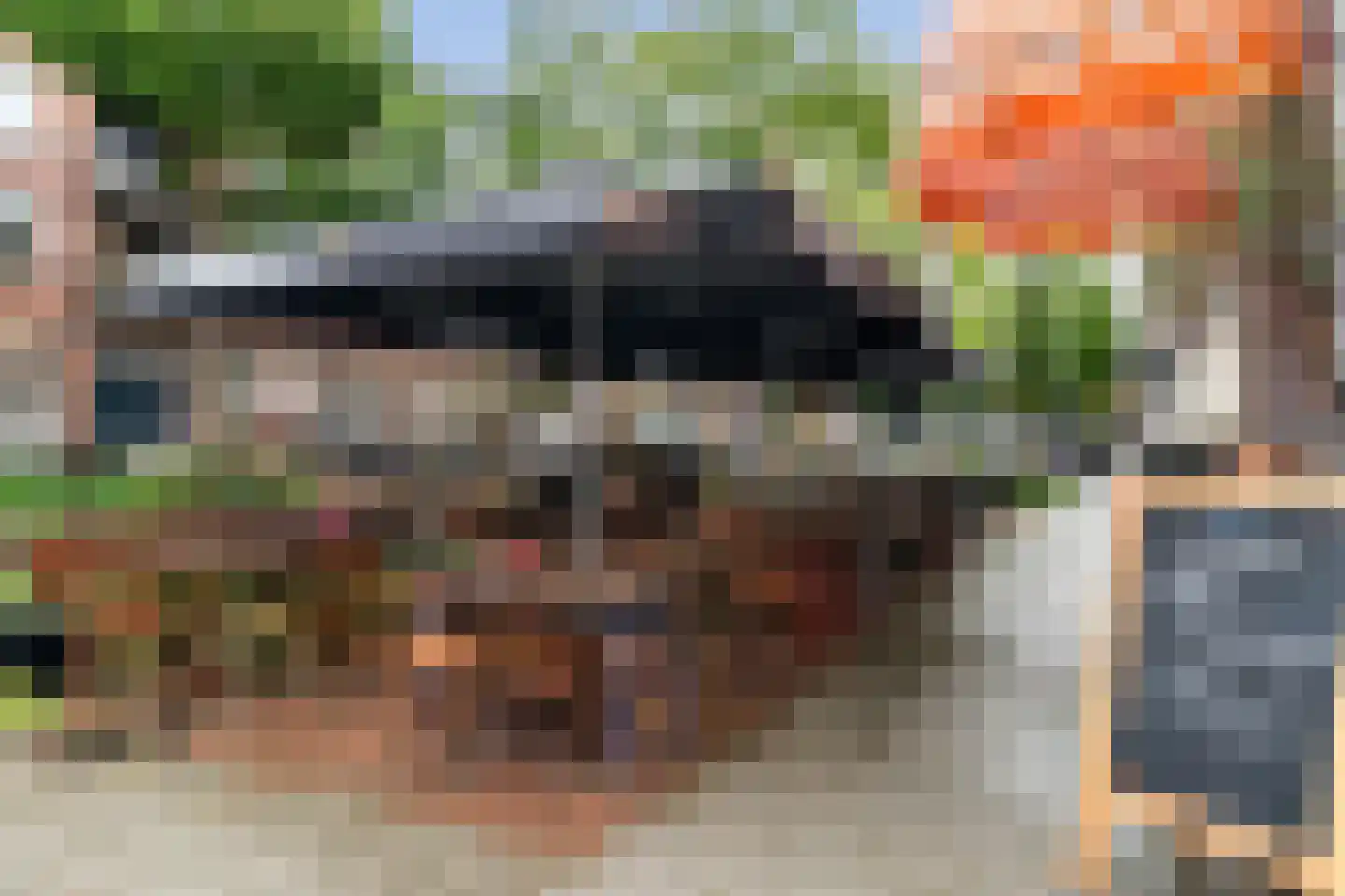 Blommersdijkselaan 33 B Rotterdam thumbnail 28