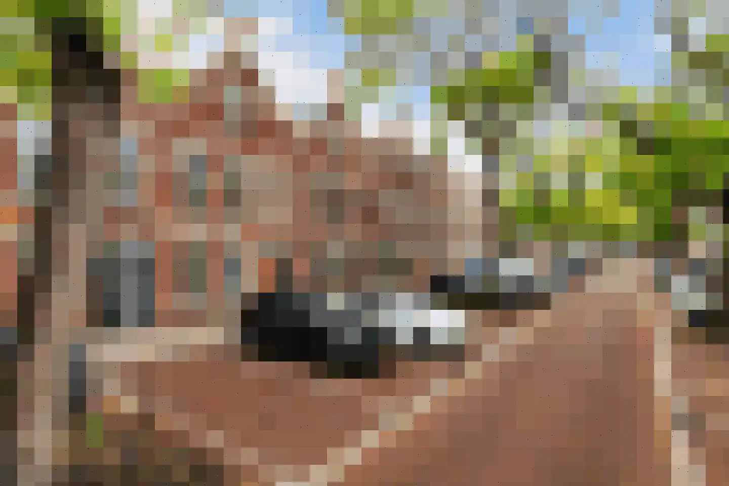 Blommersdijkselaan 33 B Rotterdam thumbnail 29