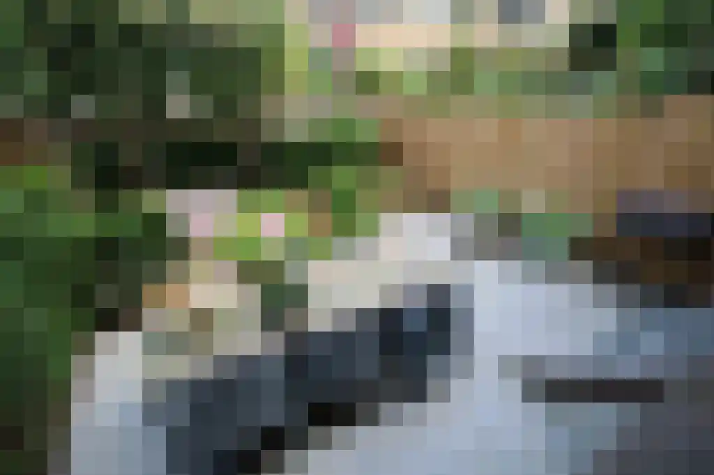 Blommersdijkselaan 33 B Rotterdam thumbnail 4