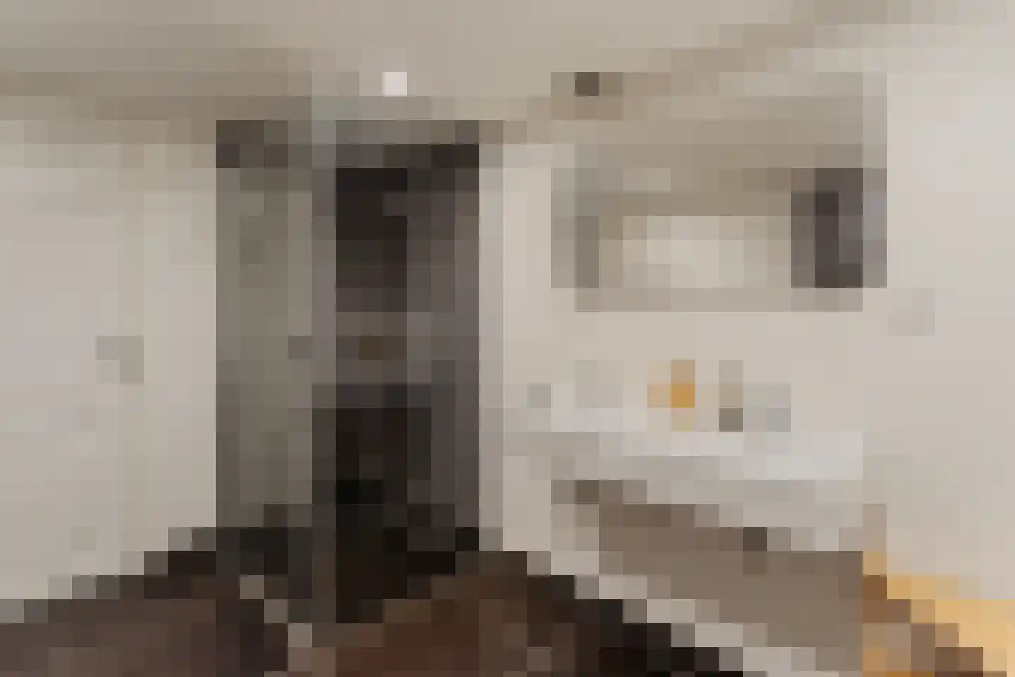Blommersdijkselaan 34 B Rotterdam thumbnail 24