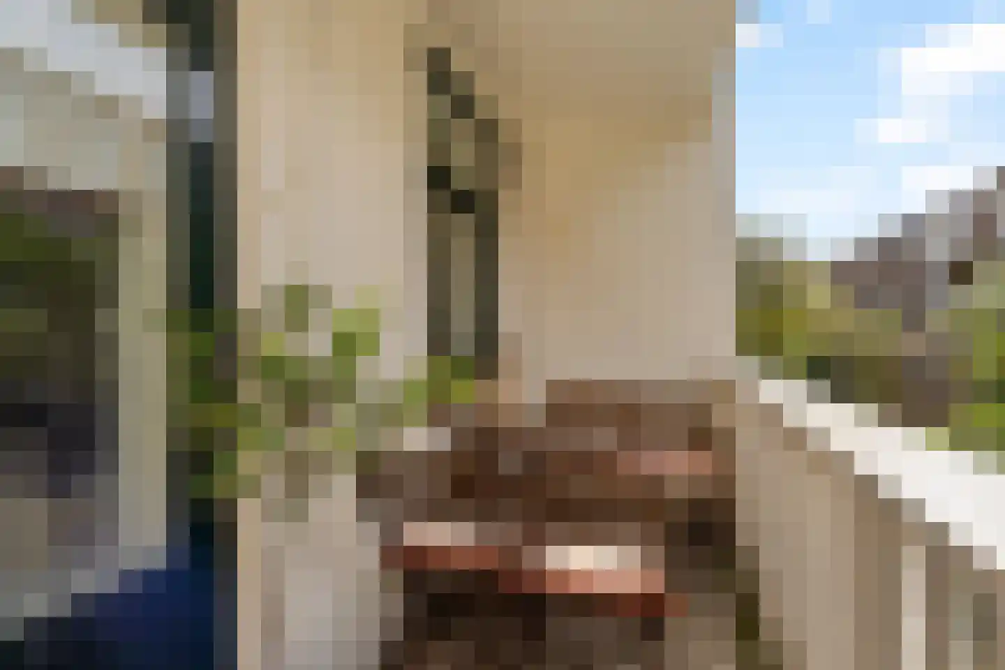 Blommersdijkselaan 34 B Rotterdam thumbnail 26