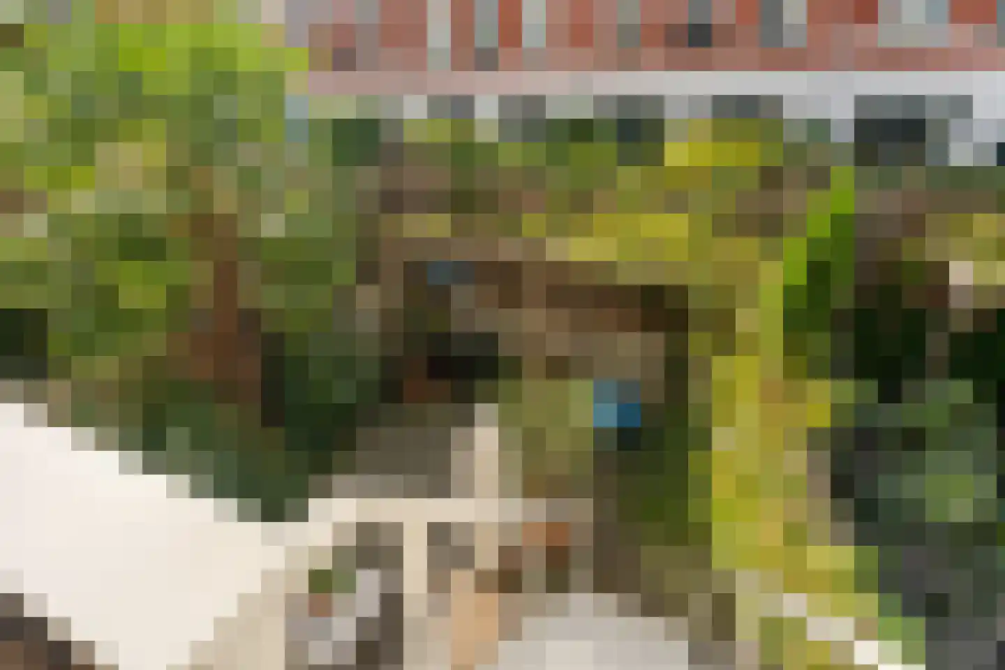 Blommersdijkselaan 34 B Rotterdam thumbnail 28
