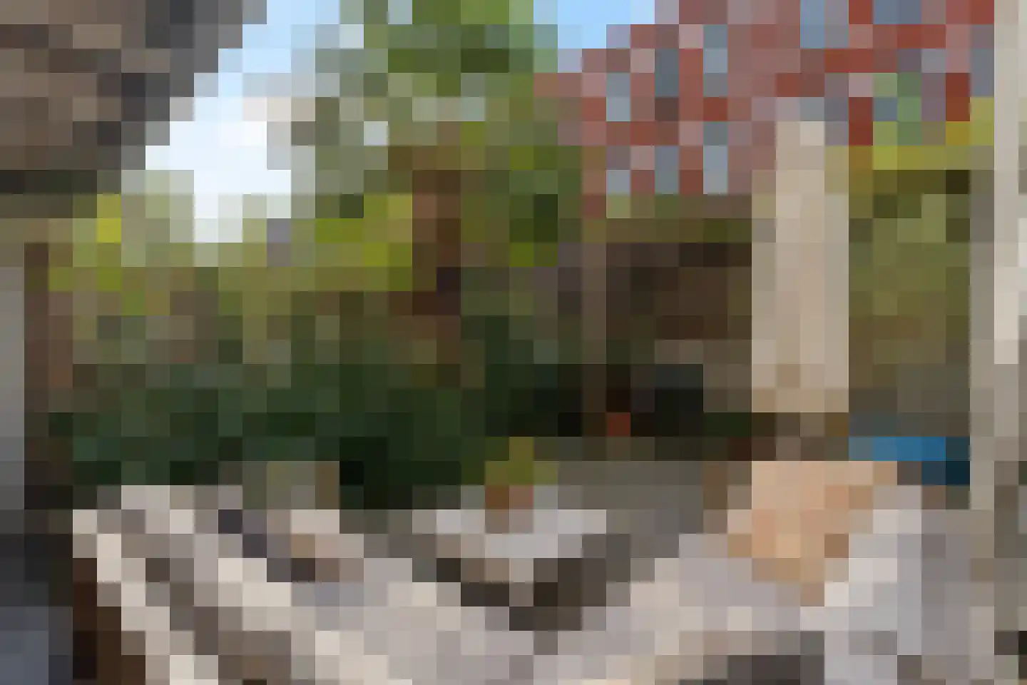 Blommersdijkselaan 34 B Rotterdam thumbnail 30