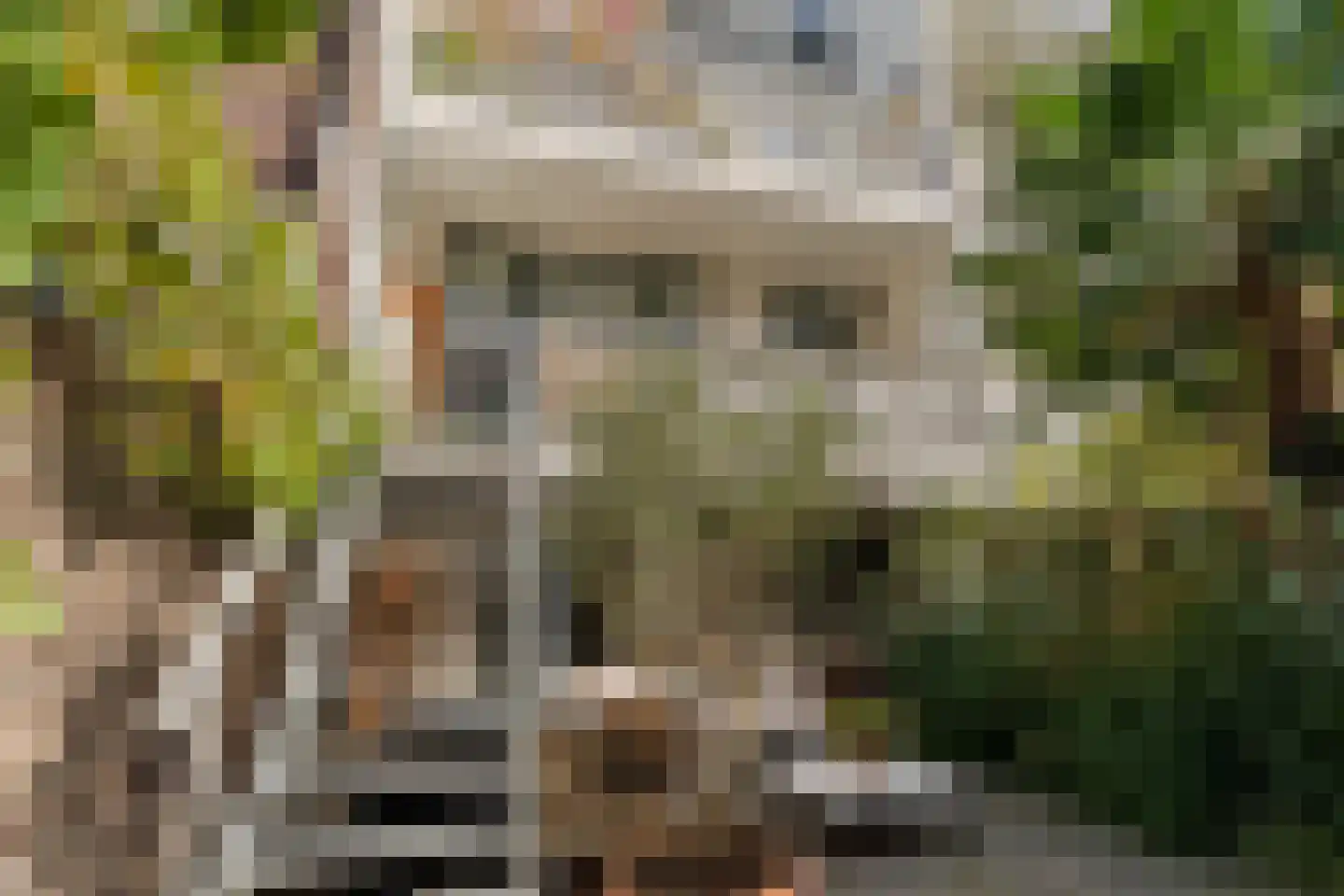 Blommersdijkselaan 34 B Rotterdam thumbnail 31