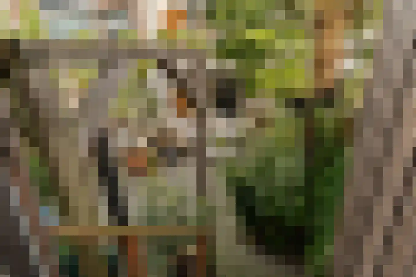 Blommersdijkselaan 34 B Rotterdam thumbnail 32