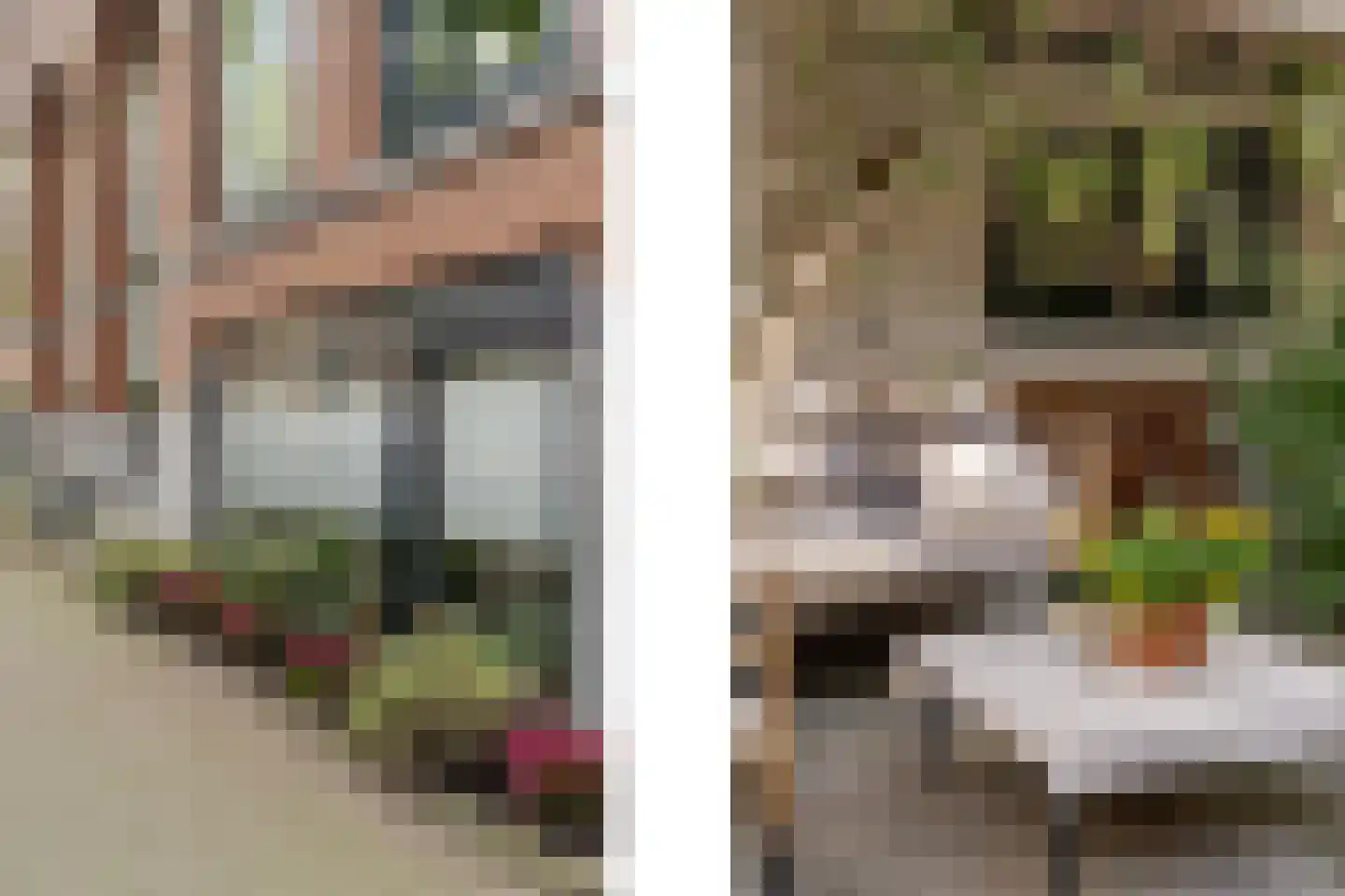 Blommersdijkselaan 34 B Rotterdam thumbnail 33