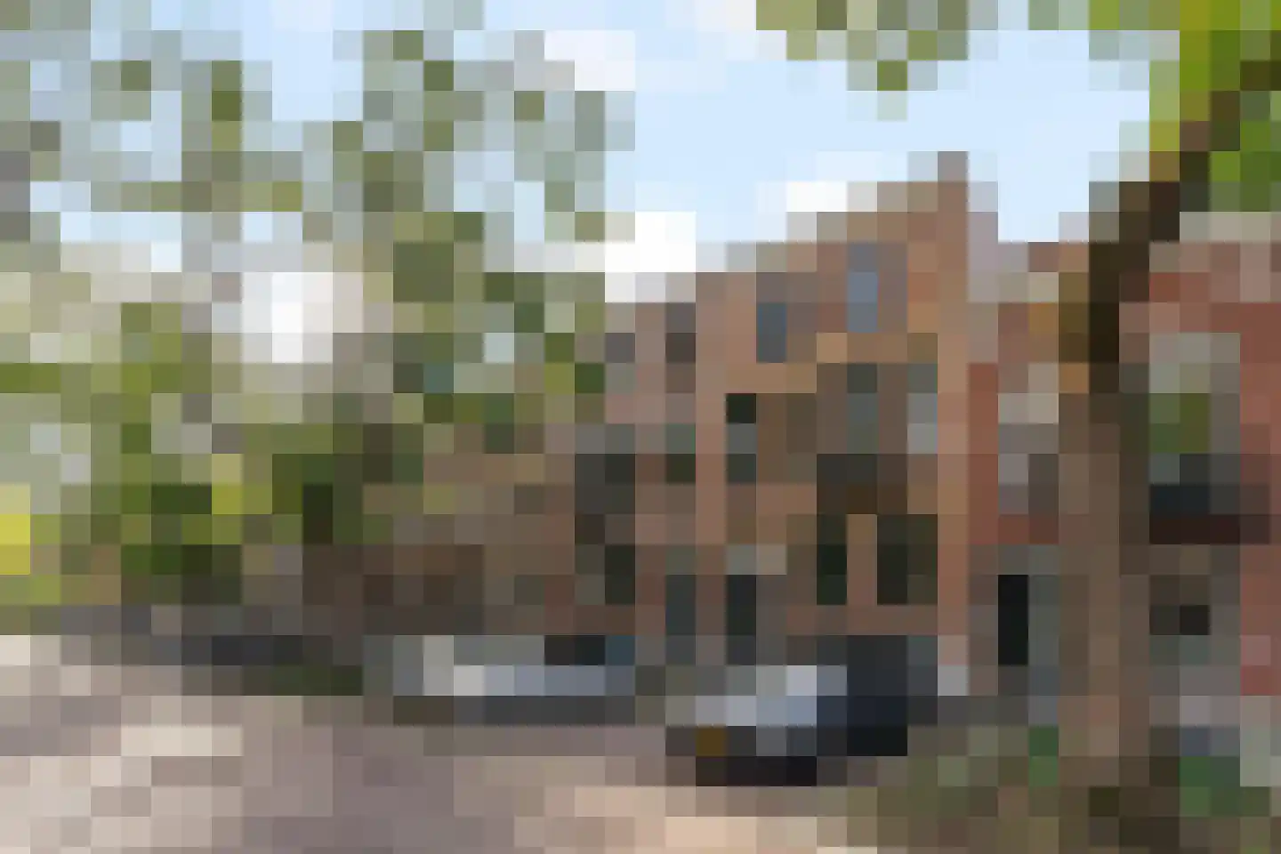 Blommersdijkselaan 34 B Rotterdam thumbnail 34