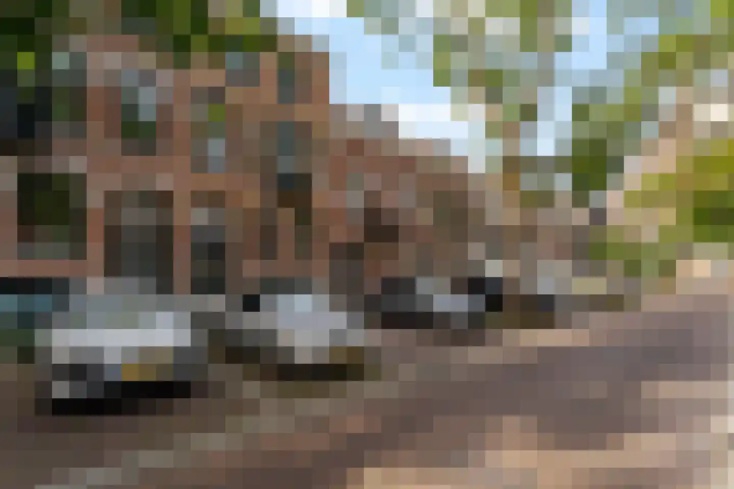 Blommersdijkselaan 34 B Rotterdam thumbnail 36
