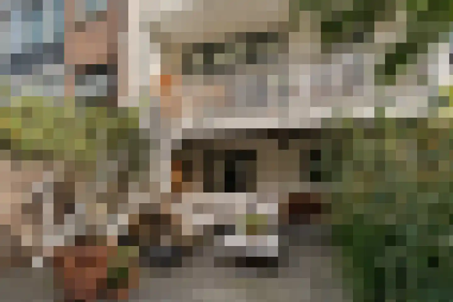 Blommersdijkselaan 34 B Rotterdam thumbnail 5