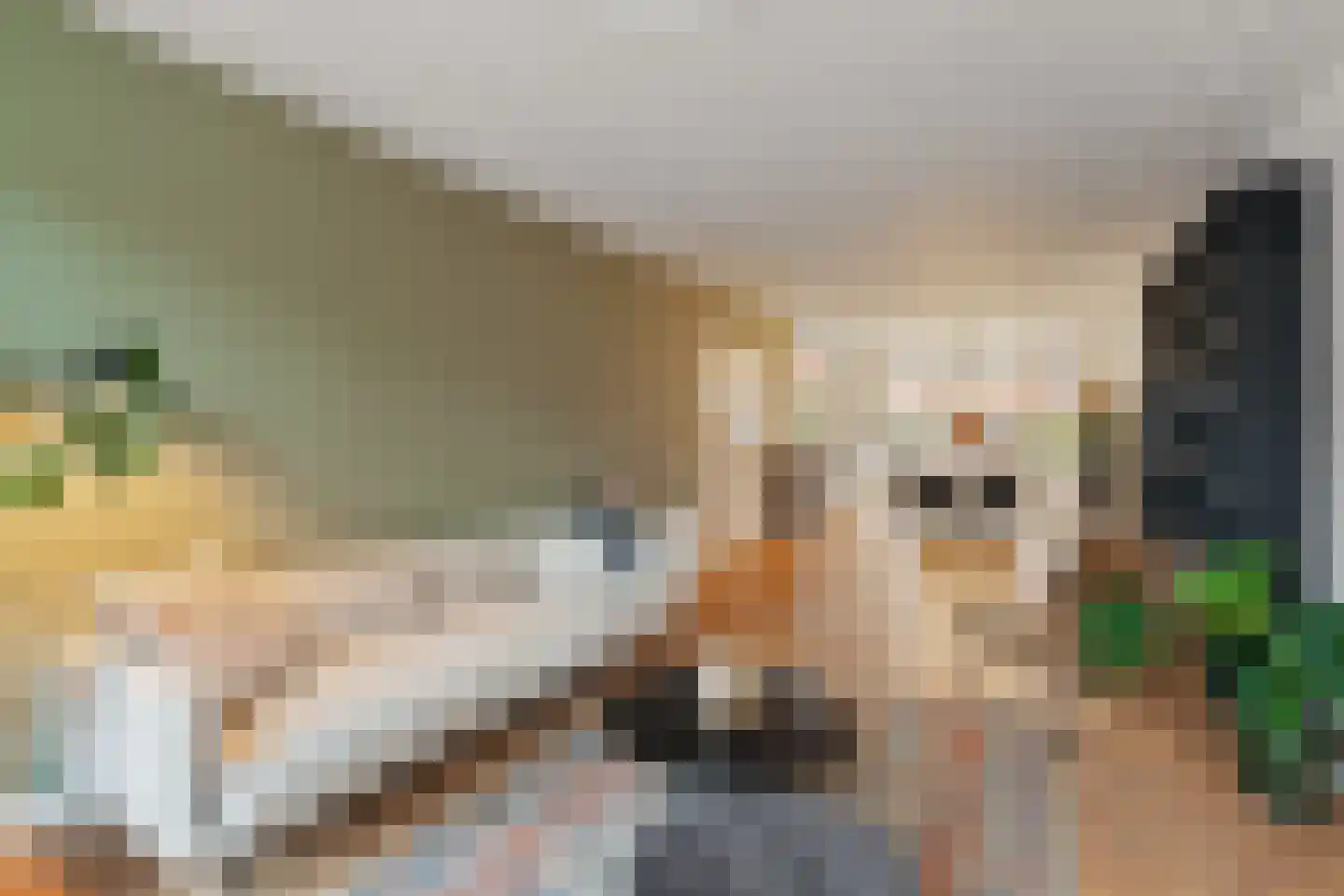 Blommersdijkselaan 34 B Rotterdam thumbnail 6