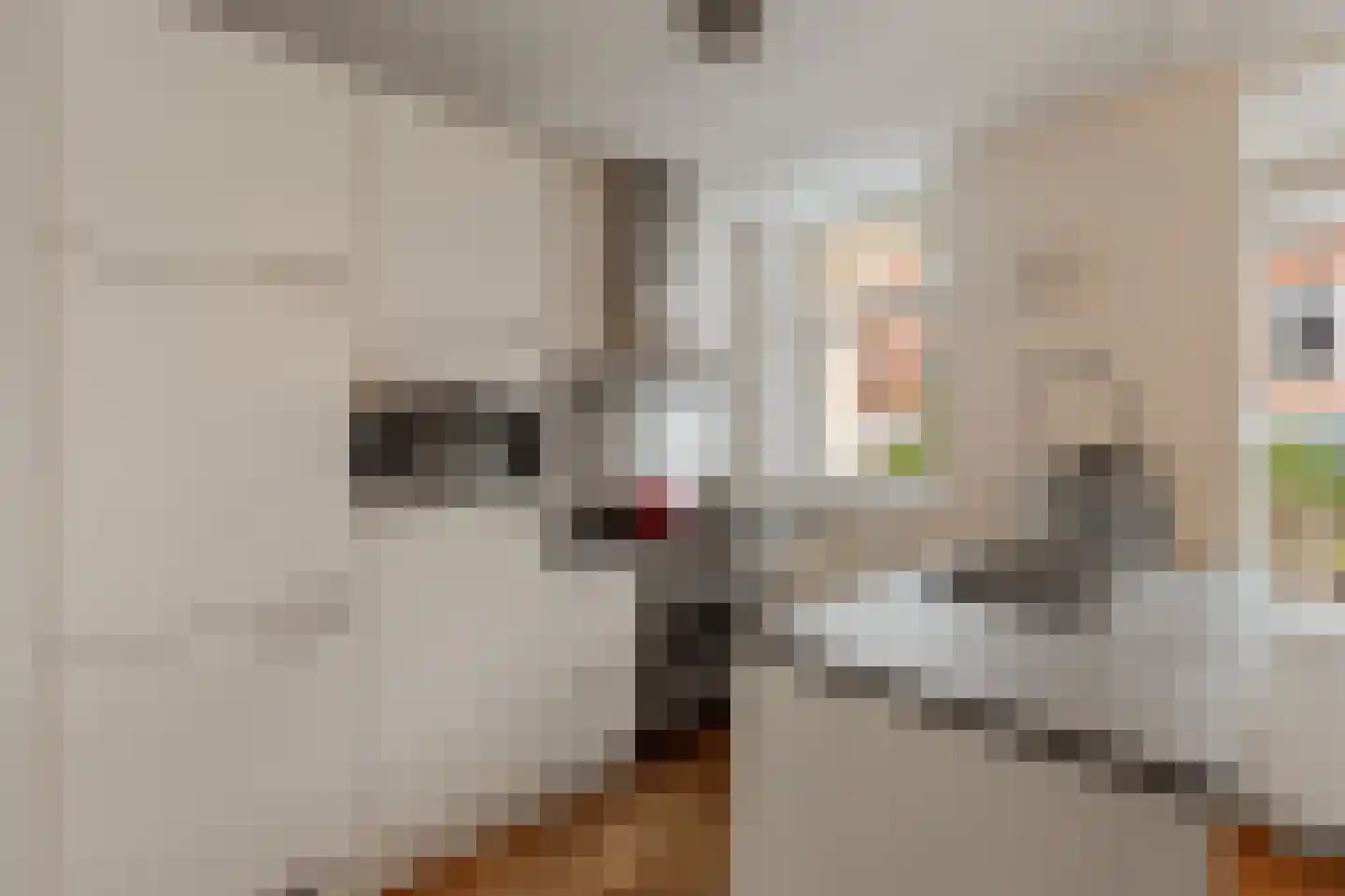 Blommersdijkselaan 34 B Rotterdam thumbnail 8