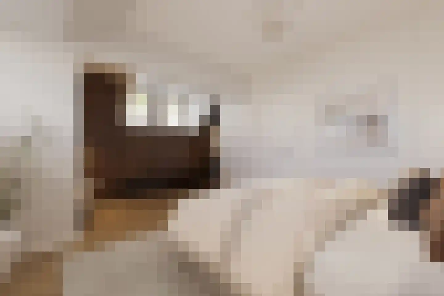 Blommersdijkselaan 38 A Rotterdam thumbnail 21