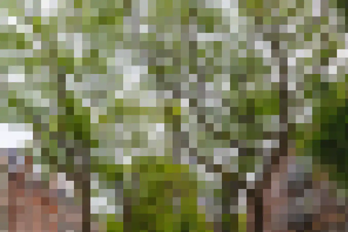 Blommersdijkselaan 38 A Rotterdam thumbnail 33
