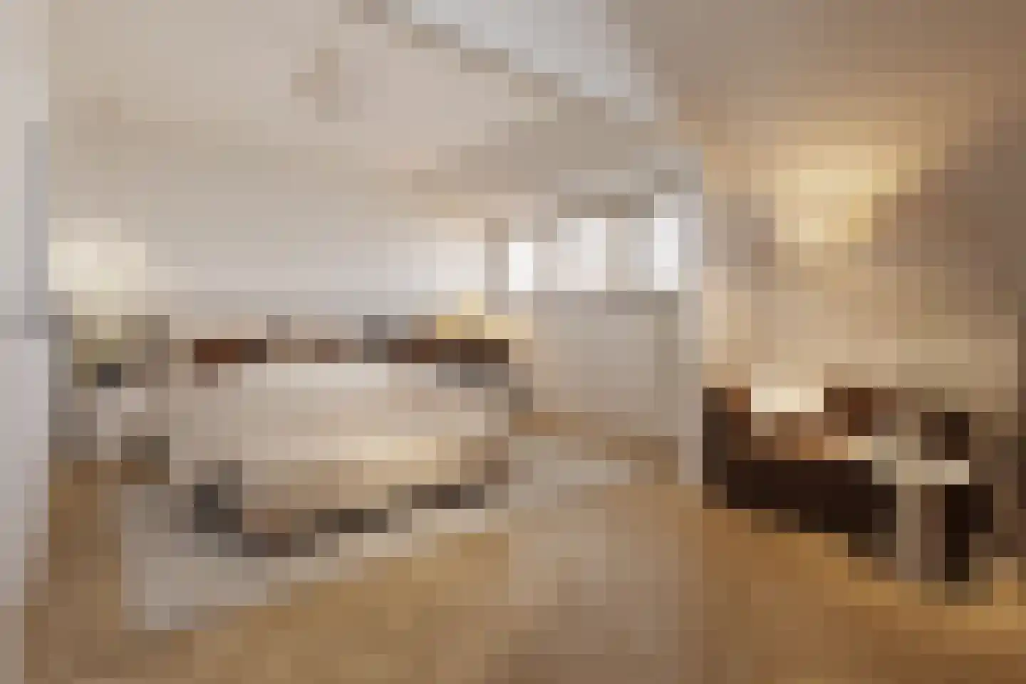 Blommersdijkselaan 38 B Rotterdam thumbnail 10