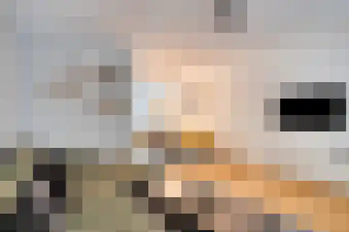 Blommersdijkselaan 4 A Rotterdam thumbnail 14