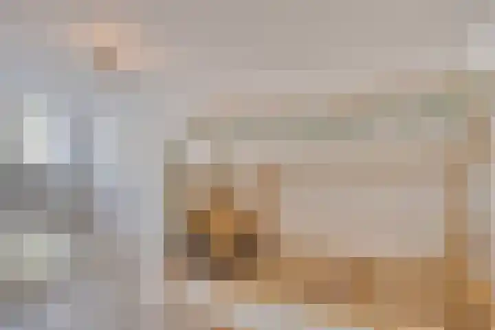 Blommersdijkselaan 4 A Rotterdam thumbnail 18