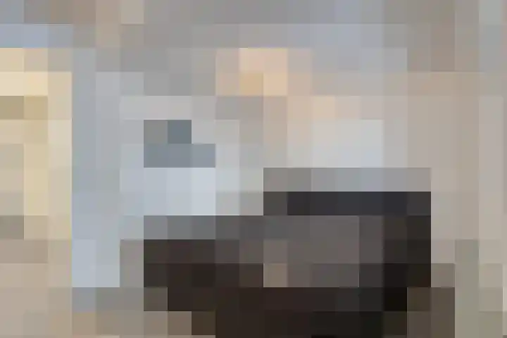Blommersdijkselaan 4 A Rotterdam thumbnail 21