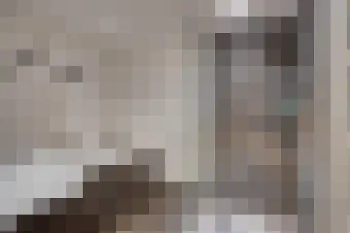 Blommersdijkselaan 4 A Rotterdam thumbnail 22