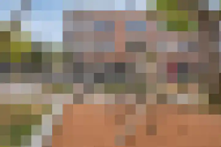 Blommersdijkselaan 4 A Rotterdam thumbnail 28