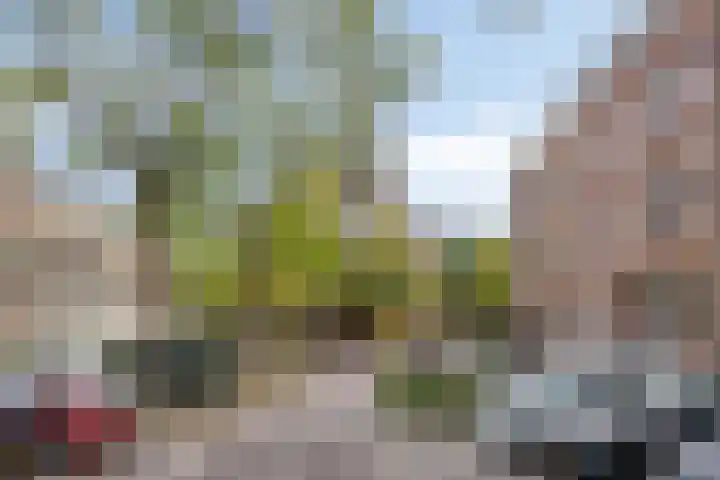Blommersdijkselaan 4 A Rotterdam thumbnail 5