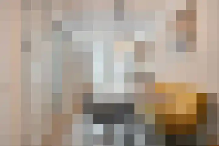 Blommersdijkselaan 4 A Rotterdam thumbnail 7