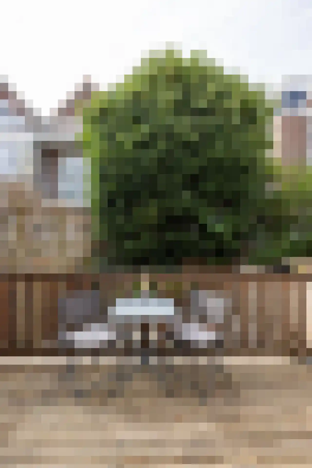 Blommersdijkselaan 42 Rotterdam thumbnail 30