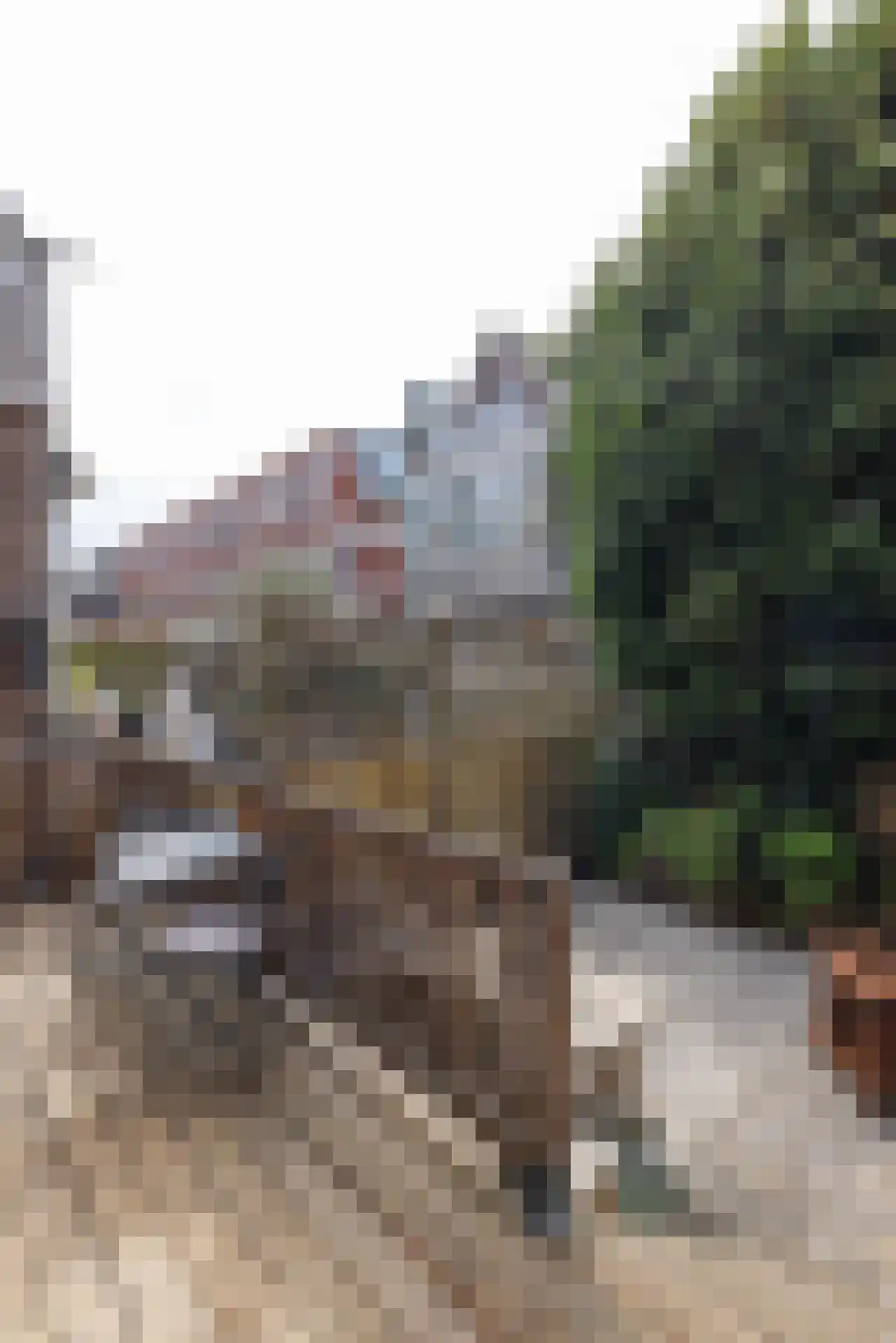 Blommersdijkselaan 42 Rotterdam thumbnail 31