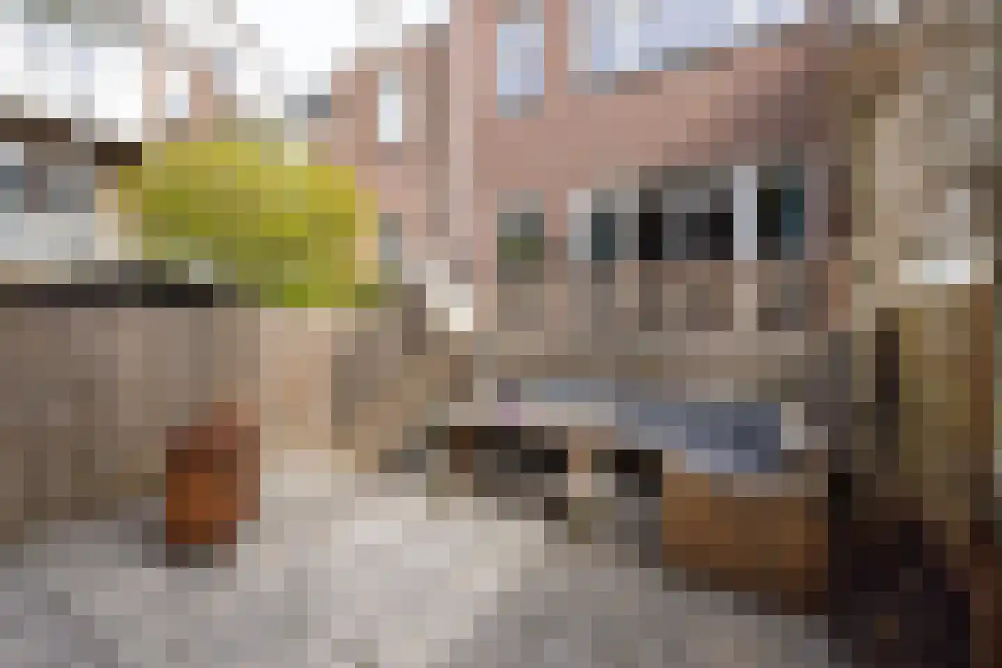 Blommersdijkselaan 42 Rotterdam thumbnail 32