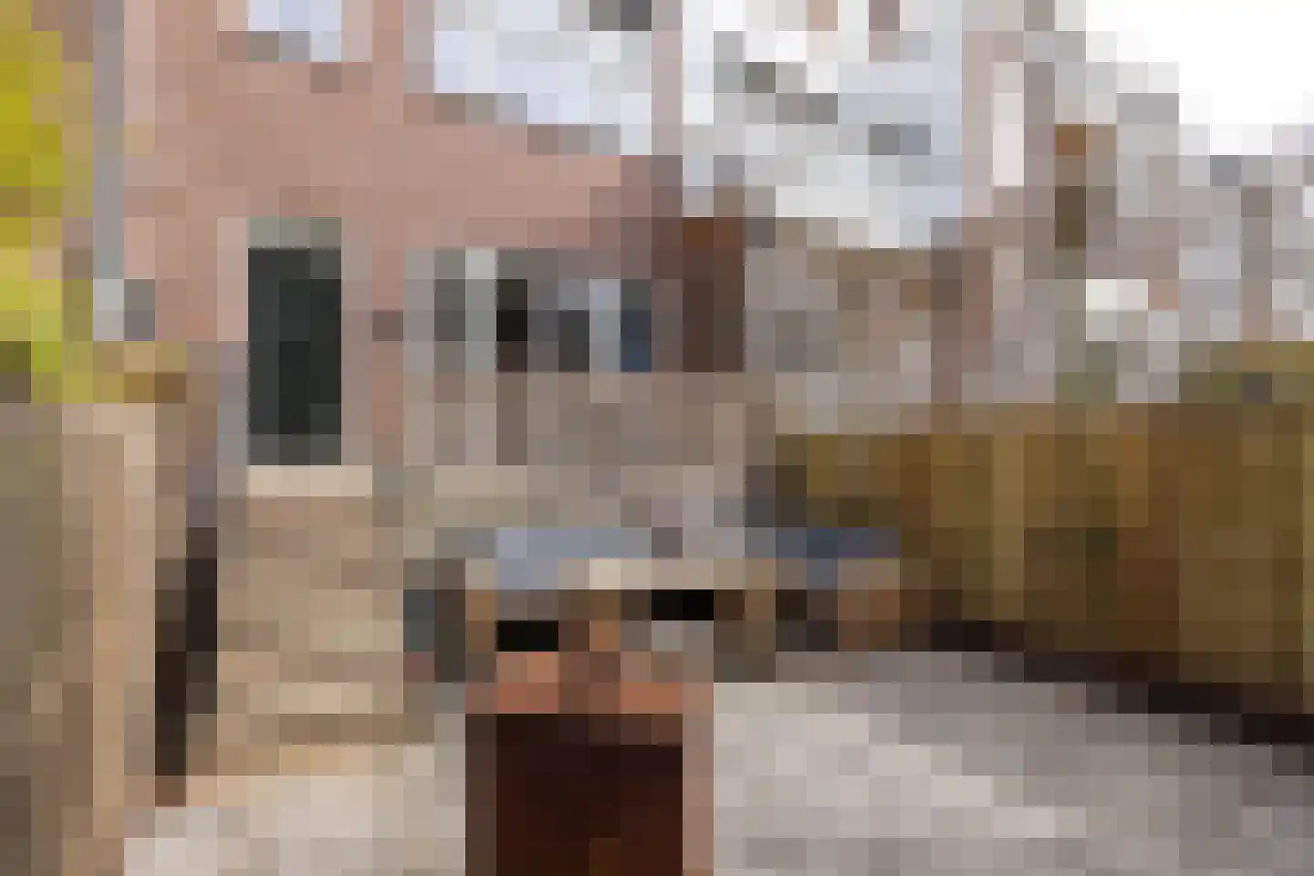 Blommersdijkselaan 42 Rotterdam thumbnail 4