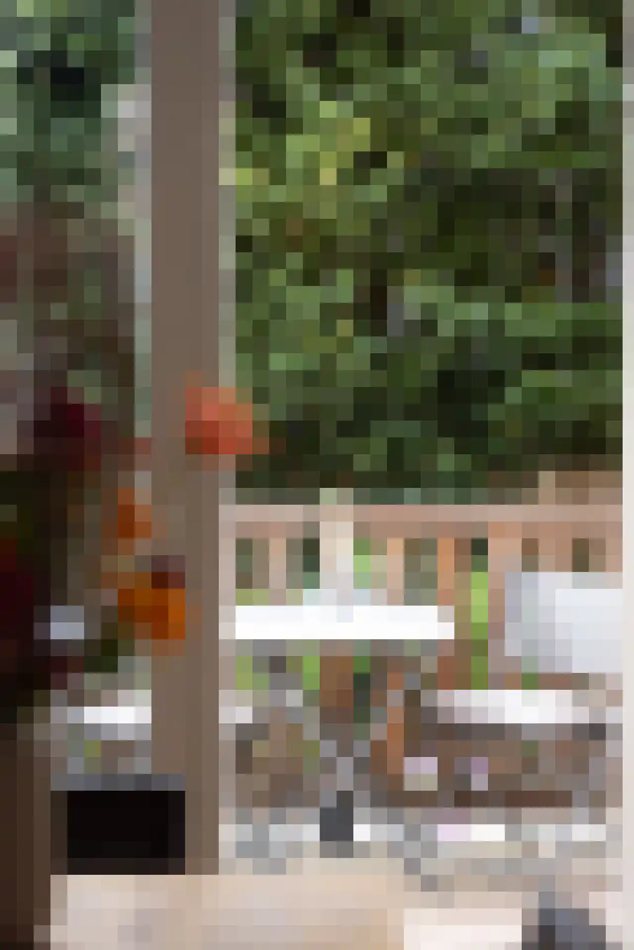 Blommersdijkselaan 42 Rotterdam thumbnail 9