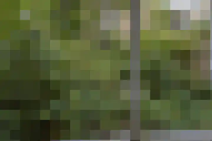 Blommersdijkselaan 7 B Rotterdam thumbnail 10