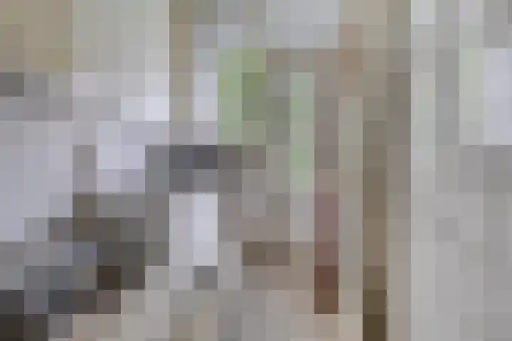 Blommersdijkselaan 7 B Rotterdam thumbnail 13