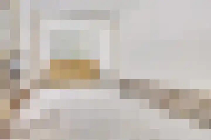 Blommersdijkselaan 7 B Rotterdam thumbnail 16