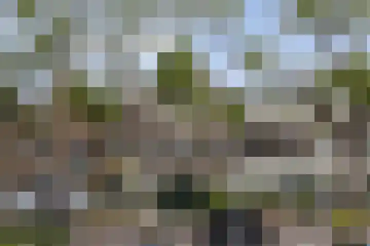 Blommersdijkselaan 7 B Rotterdam thumbnail 21