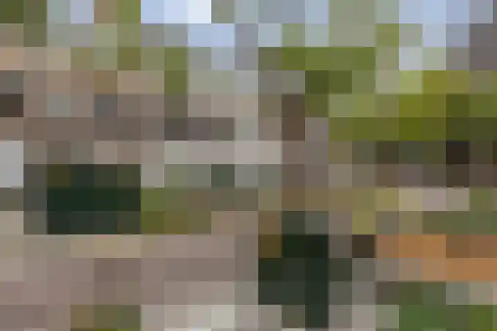 Blommersdijkselaan 7 B Rotterdam thumbnail 22