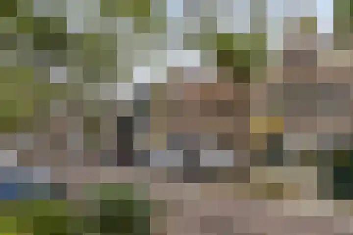 Blommersdijkselaan 7 B Rotterdam thumbnail 23