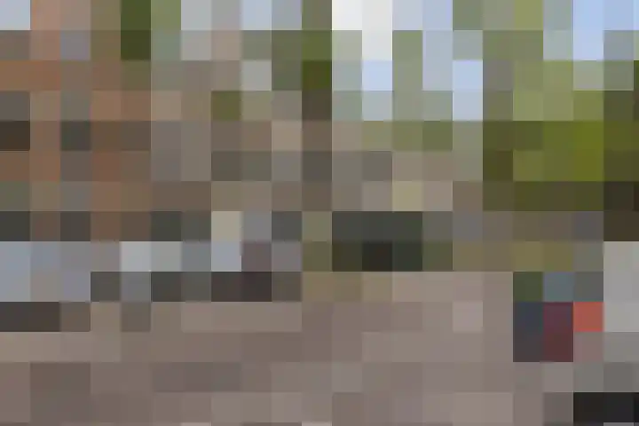 Blommersdijkselaan 7 B Rotterdam thumbnail 24