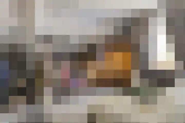 Blommersdijkselaan 7 B Rotterdam thumbnail 29