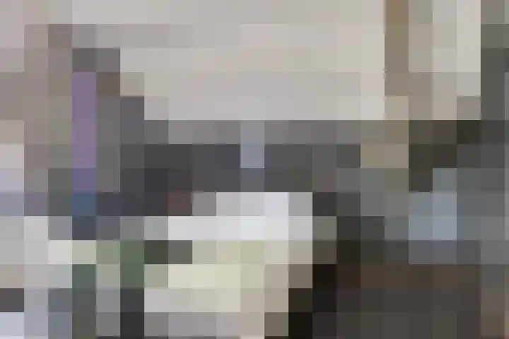 Blommersdijkselaan 7 B Rotterdam thumbnail 30